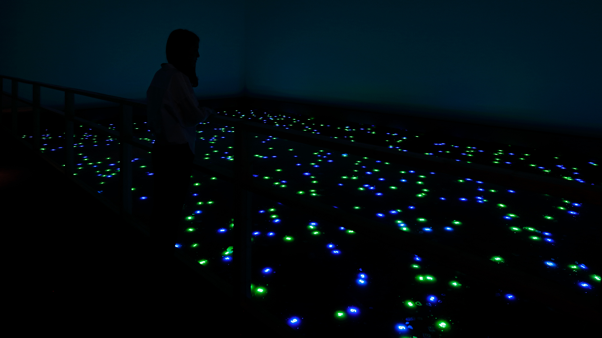 明滅する数字に3,000人の記憶と思いが込められた「時の海」を目指して——宮島達男＠森美術館「STARS展」