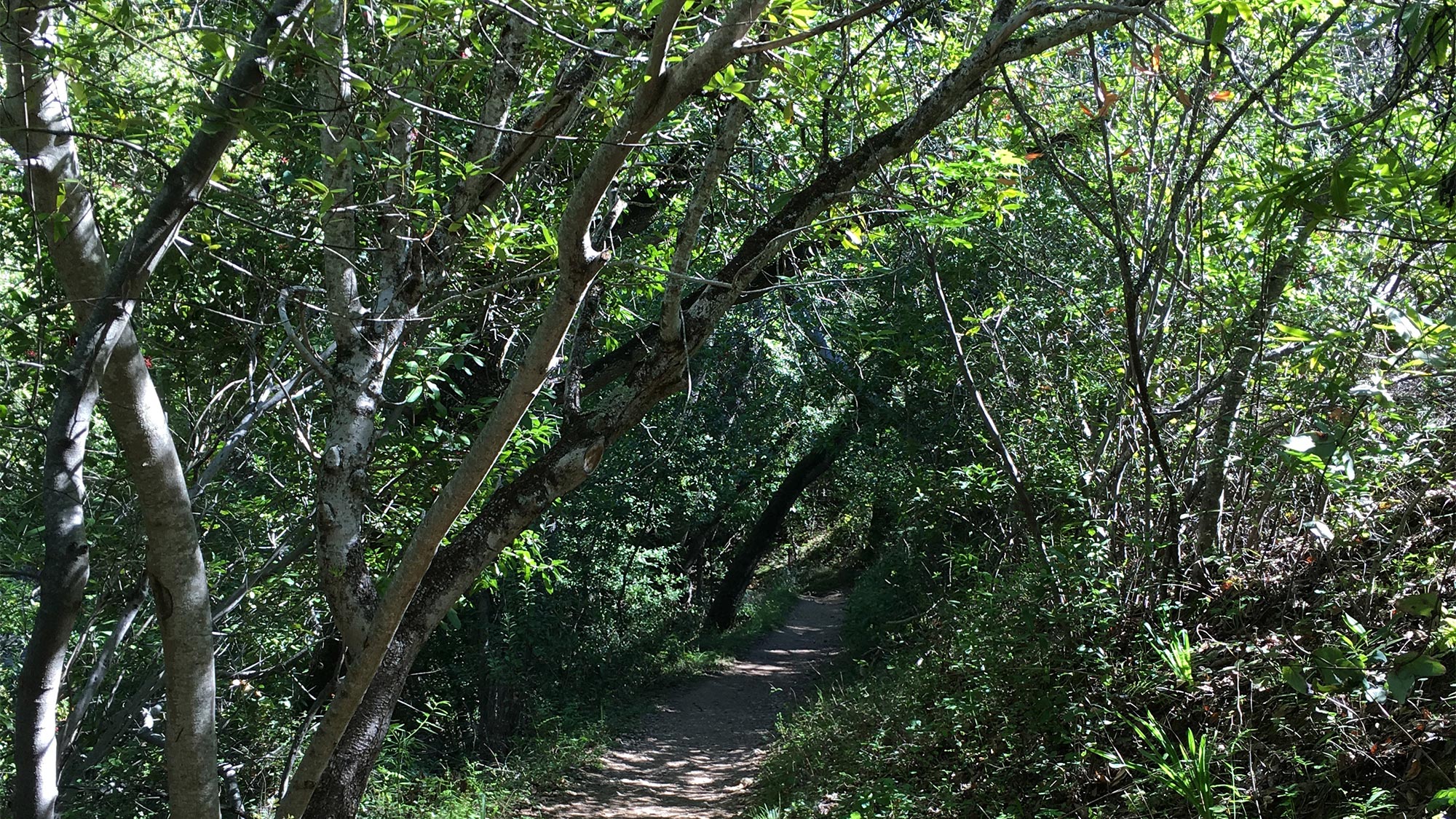 エコゾフィーの未来へ