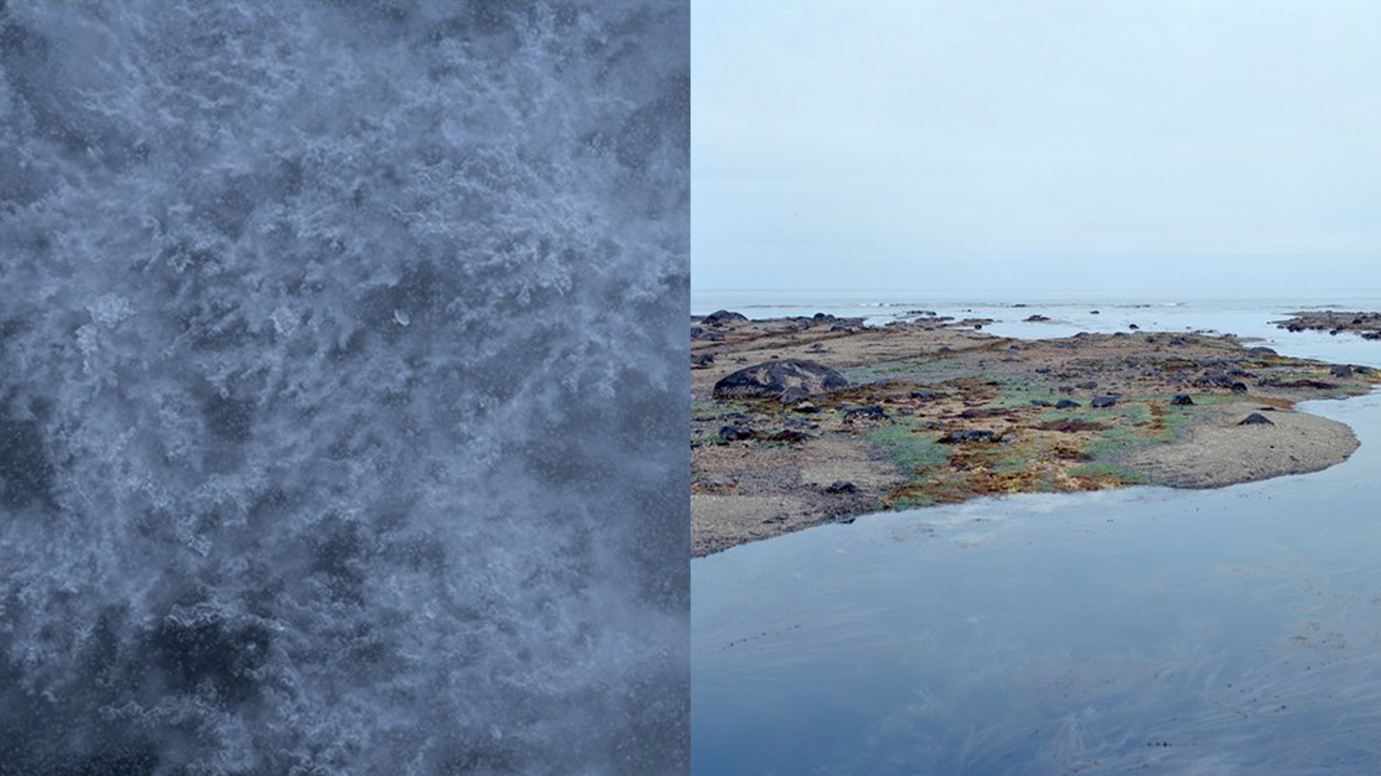 土地、土、大地、コンポスト……そしてビヨンド