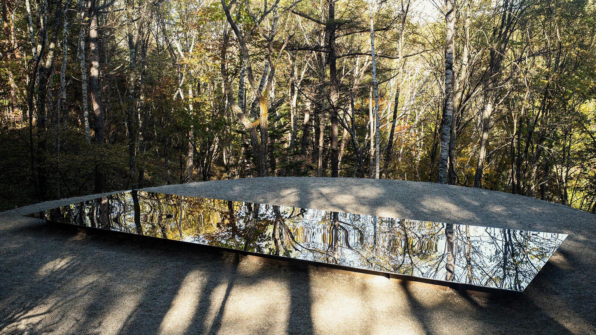 諏訪・八ヶ岳で始動する、新たなコモンズの実践の場「対話と創造の森」