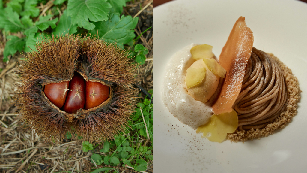 麻布台ヒルズ〈Dining33〉が大事にするローカル食材——東京・高井戸で