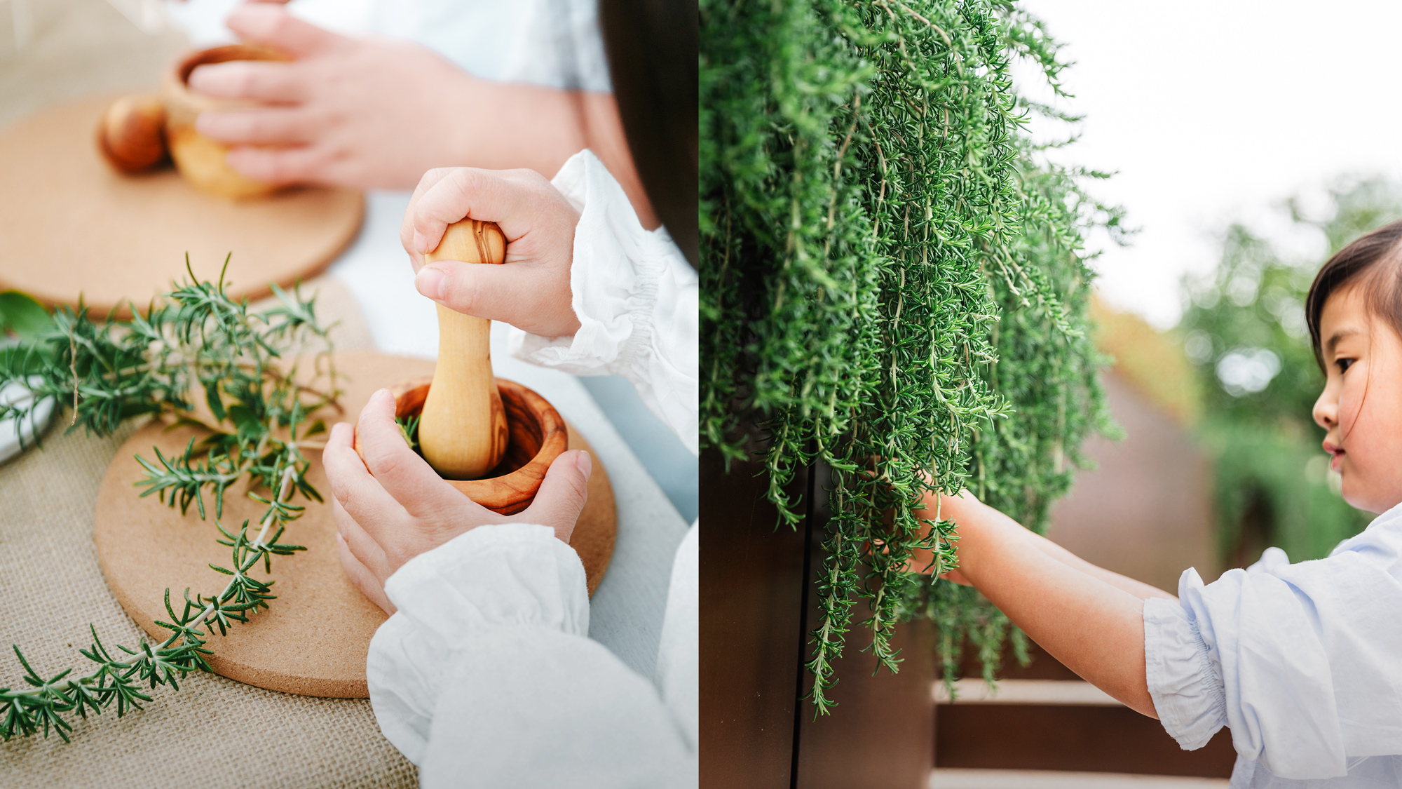 多様な生態系が子どもたちに与えるもの——センス・オブ・ワンダーを刺激するということ